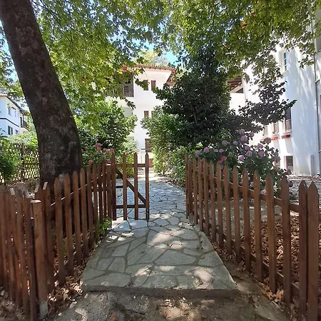 Paradise In Ai Giannis