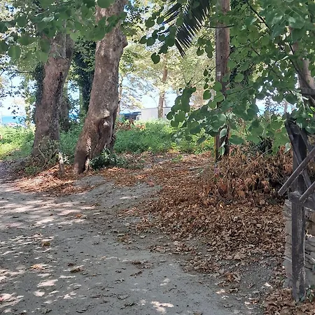 Paradise In Ai Giannis * Agios Ioannis (Thessaly)