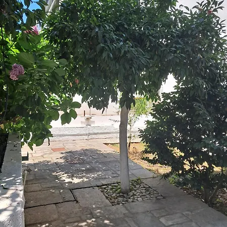 Paradise In Ai Giannis